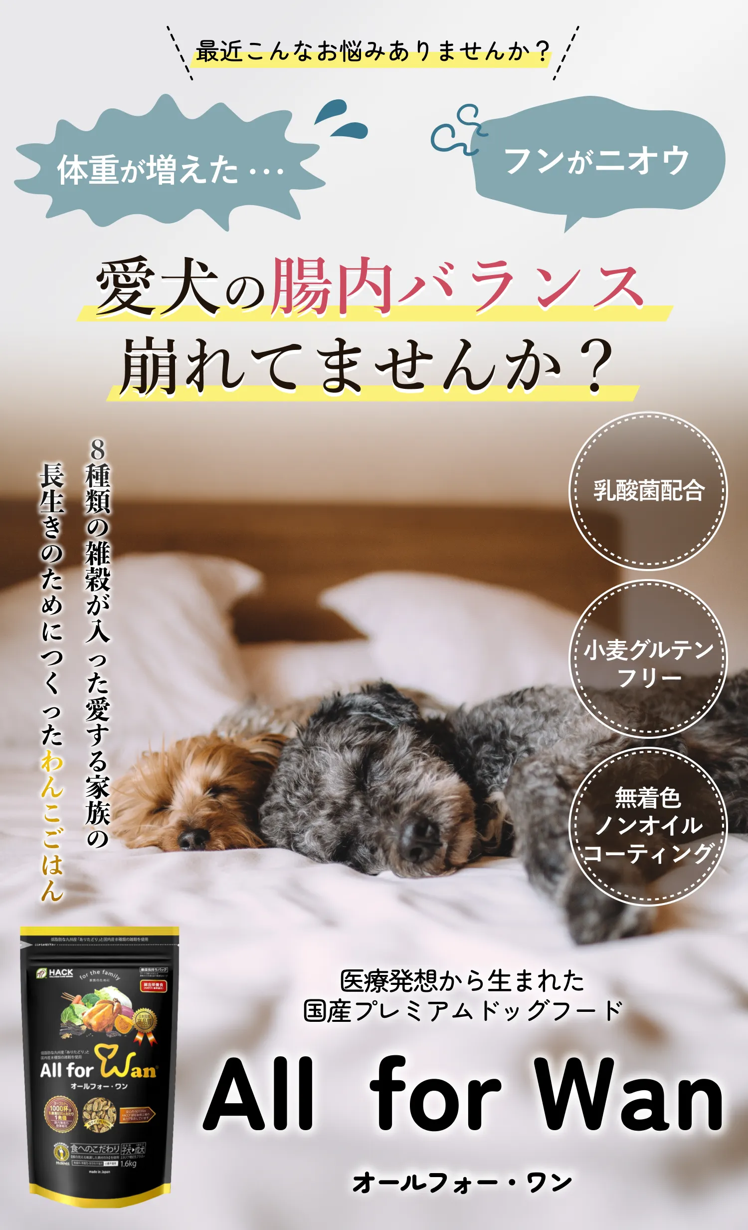 愛犬の腸内バランス崩れてはいませんか？8種類の雑穀が入った愛する家族の長生きのためにつくったわんこごはん
