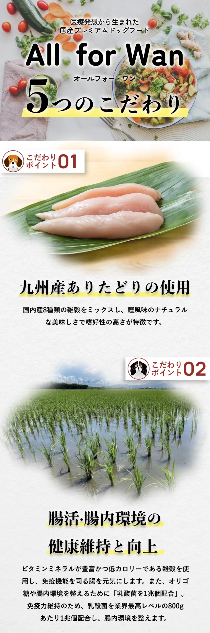 5つのこだわり 九州産ありたどりの使用 腸活・腸内環境の健康維持と向上